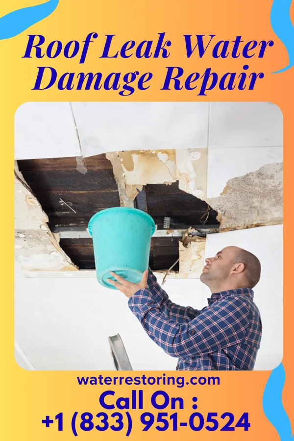 Roof Leak Water Damage Repair in Crane, TX